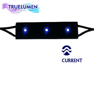 TrueLumen3LED1.jpg