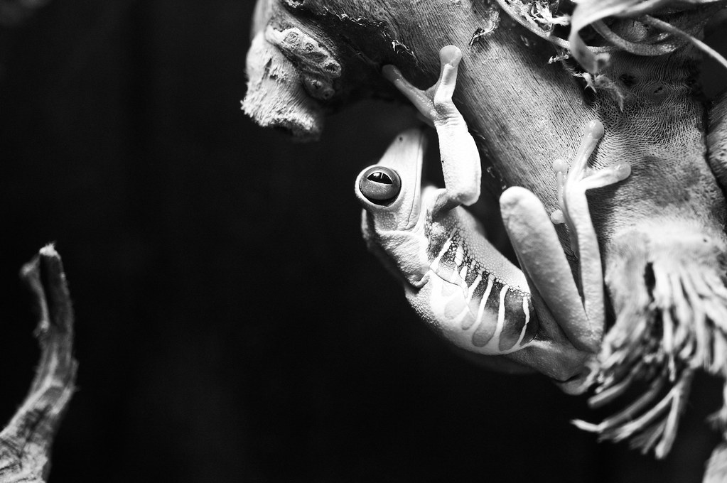 4276901755_4aea06a740_b.jpg