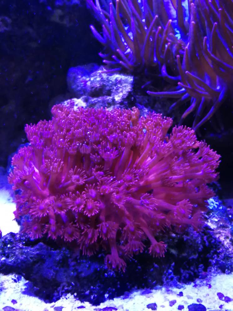 6a9e4292013026f09ce8d288cf28f3e5.jpg