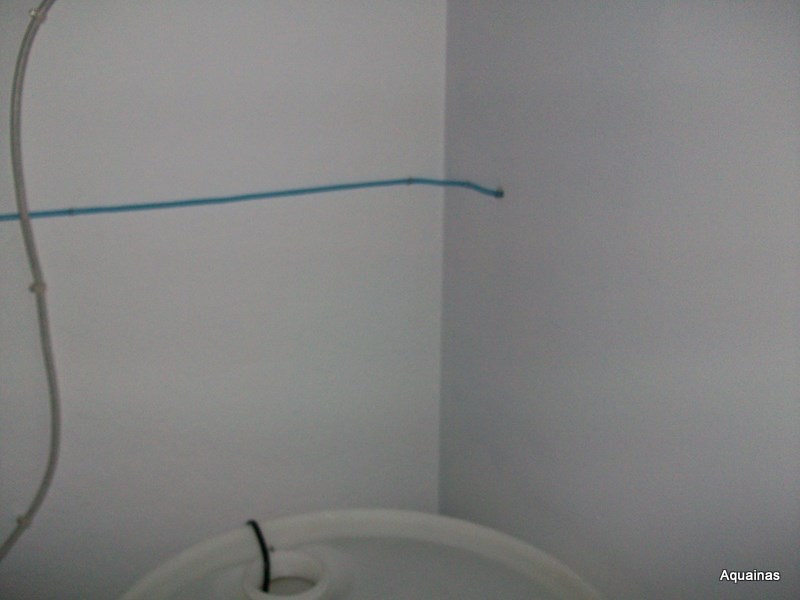 100_6537.jpg