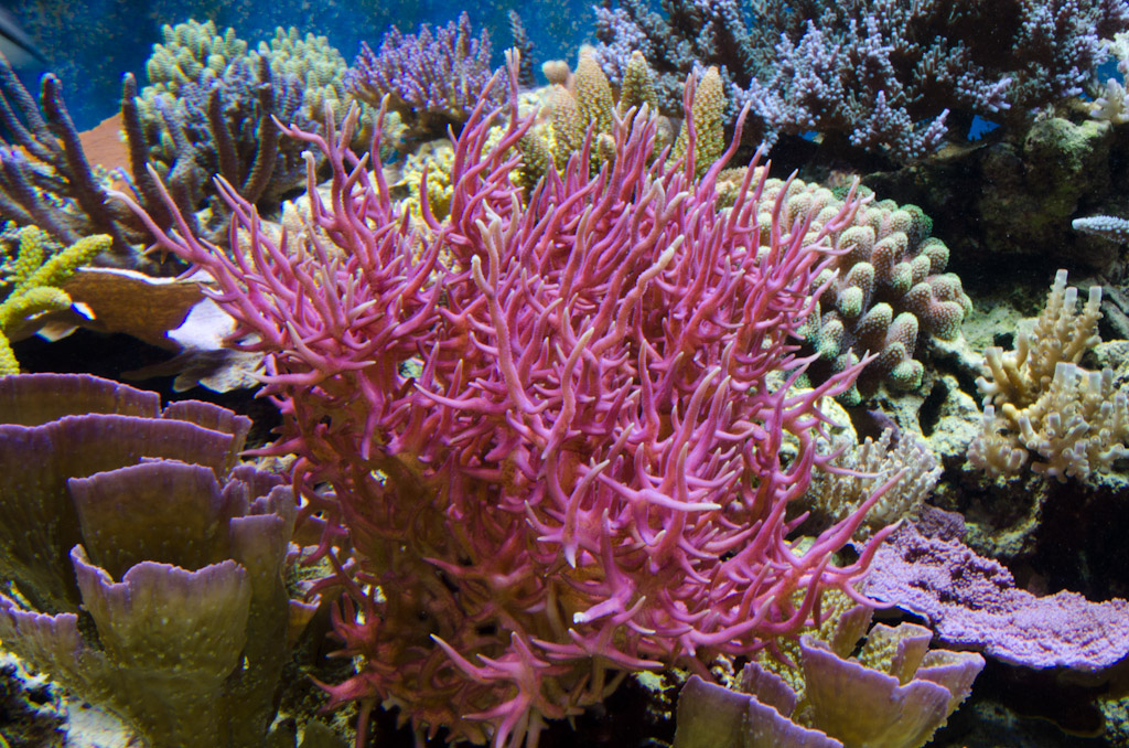 DSC_3731.jpg