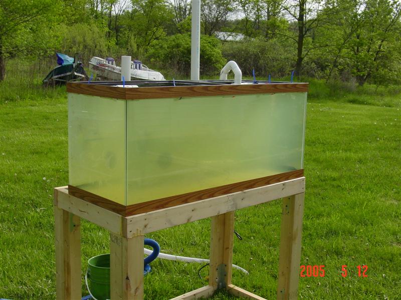 whole tank 3.jpg
