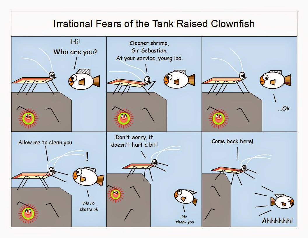 Irrational.jpg