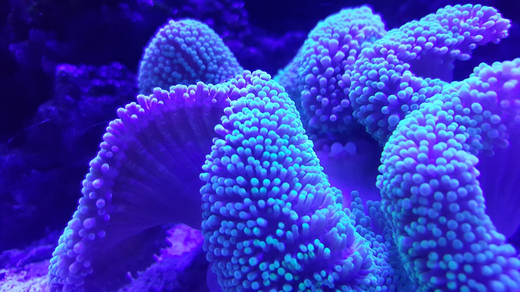 20170104_222214-XL.jpg