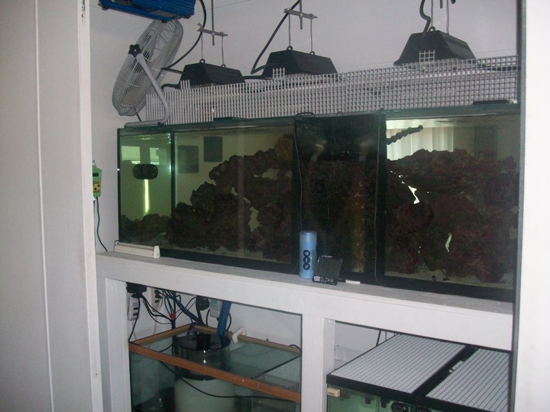 100_9865.jpg
