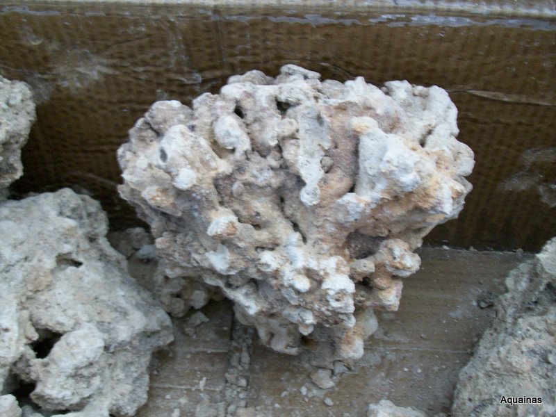 100_6581.jpg