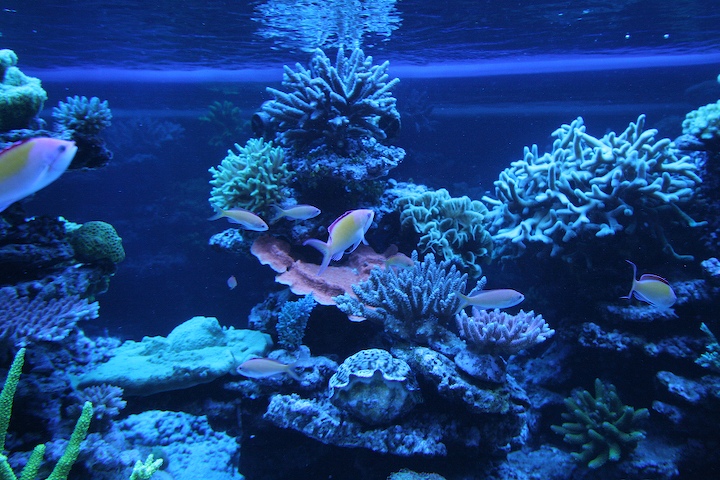 6-june_2006-2.jpg