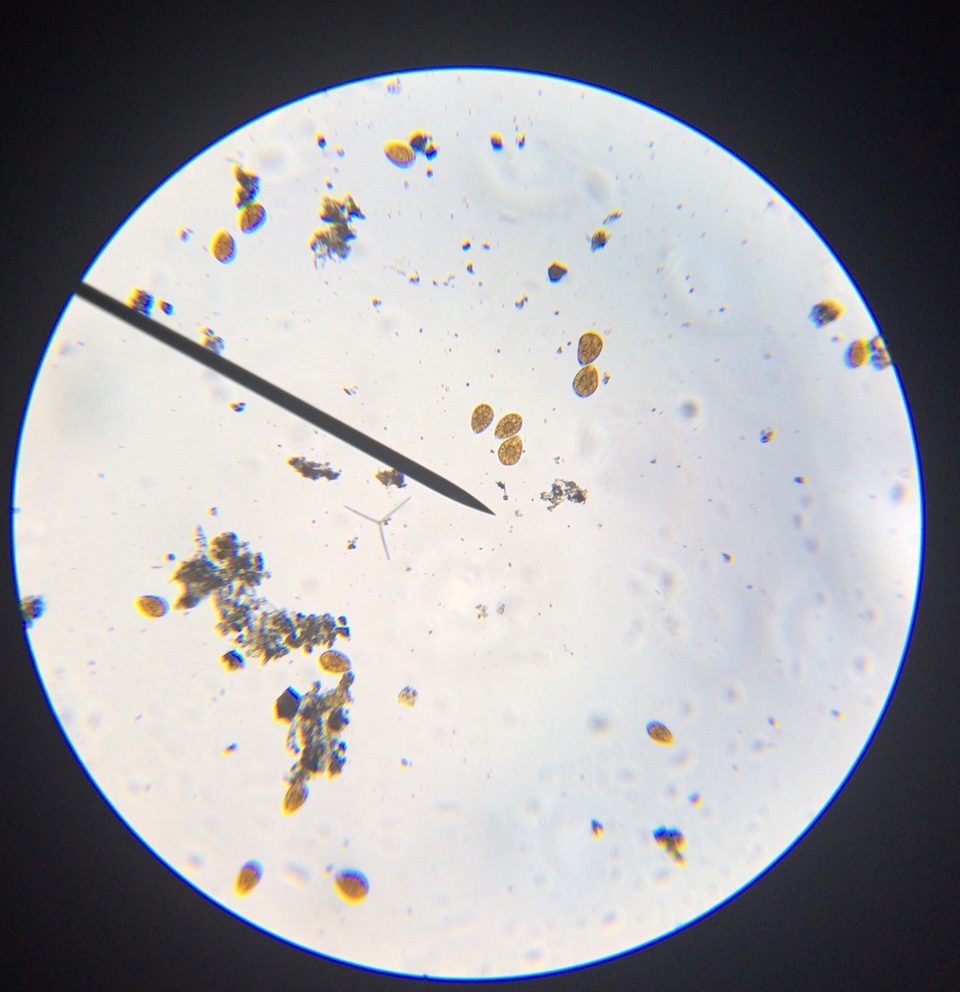 aab1e236ab6d2e1f60f2b498391ceda4.jpg