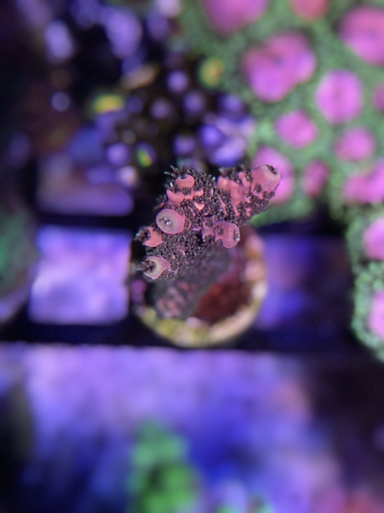 b66aaaef70f4477793c2eac5987909d6.jpg