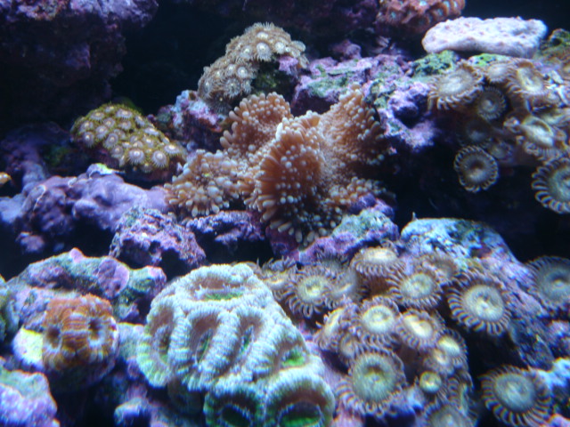 4161507350_c0ec155680_o.jpg