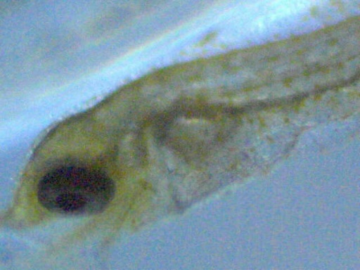 man_58_13.jpg