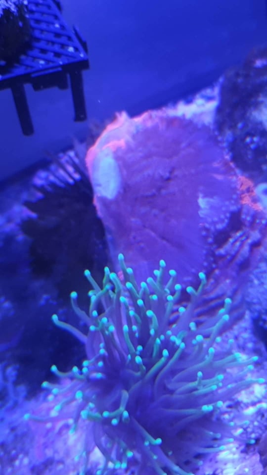 861c597e7cfc1636d13217d35369dc61.jpg