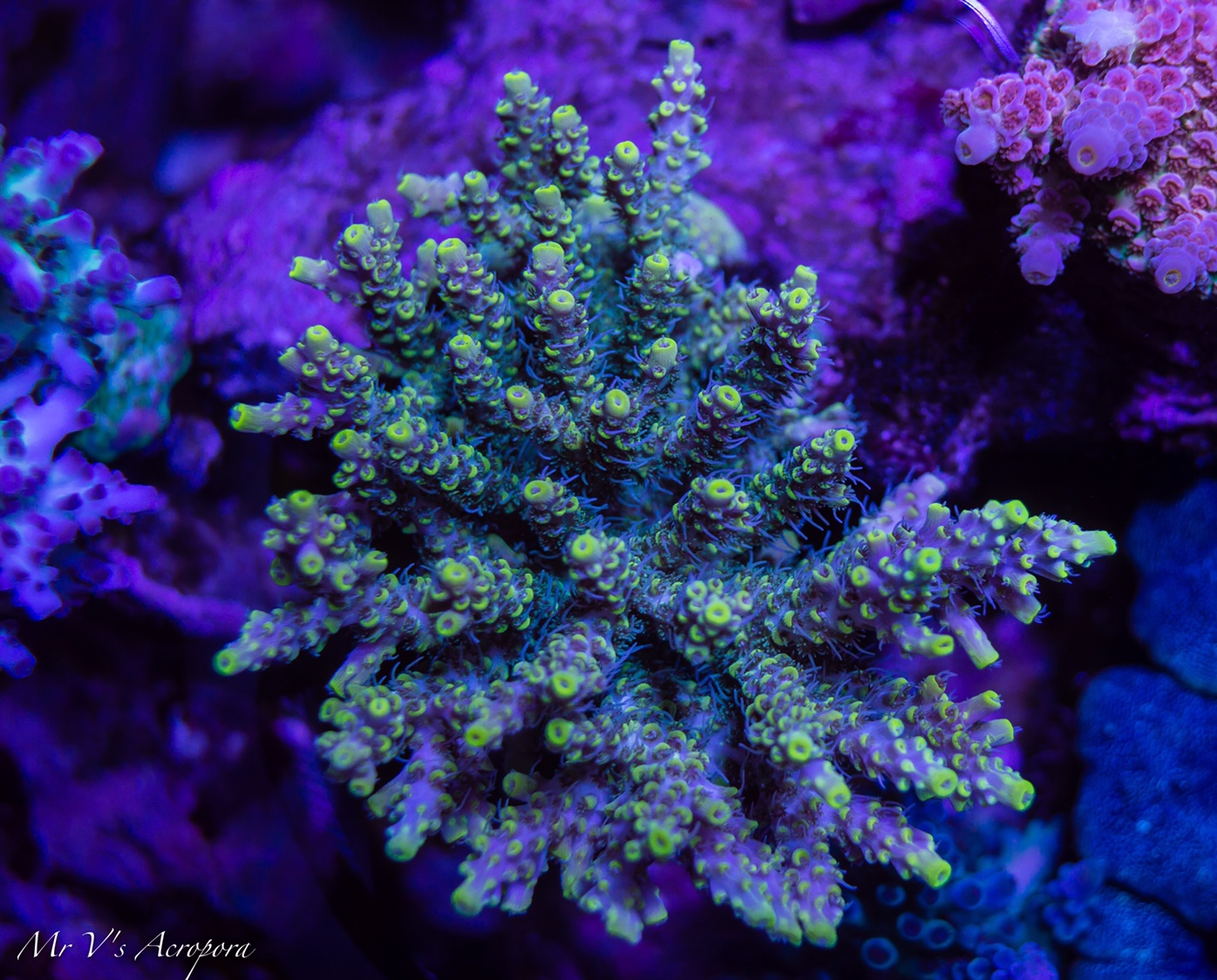 a80100c4ef67178effeb2880ec5d2c5f.jpg