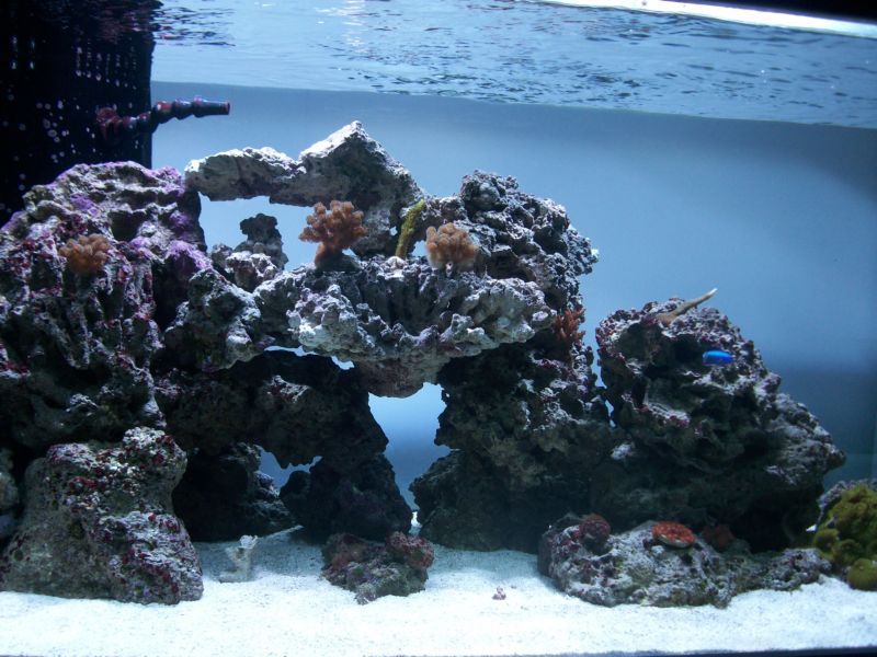 100_8582.jpg