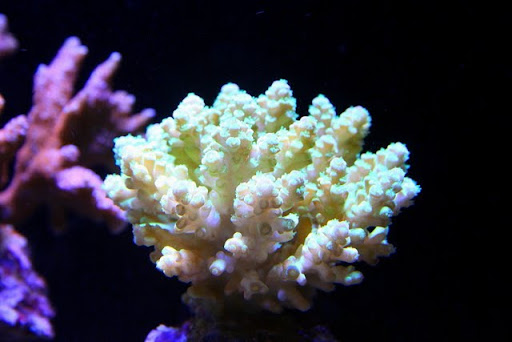 IMG_3846.JPG