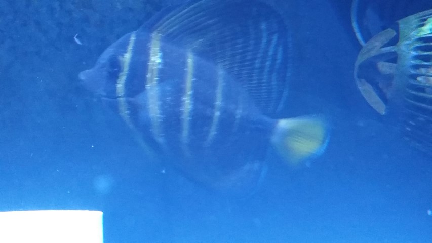 20171218_083951.jpg
