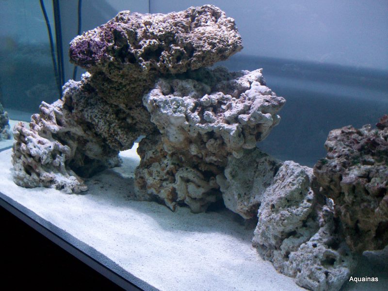 100_6808.jpg