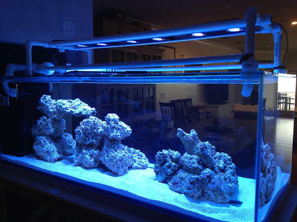 20120609-IMG0409-M.jpg