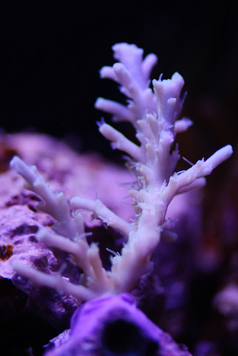 DSC_3068.JPG