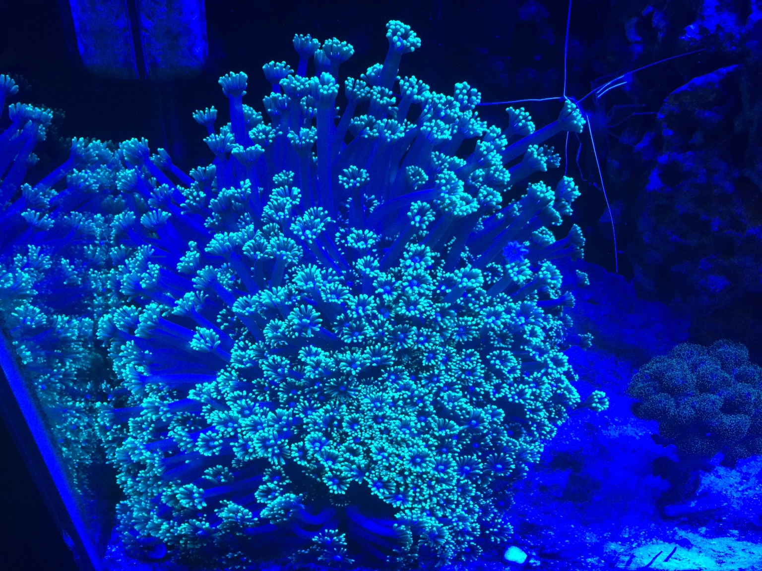 5b11abe13820d98786e00ada4ef236fc.jpg