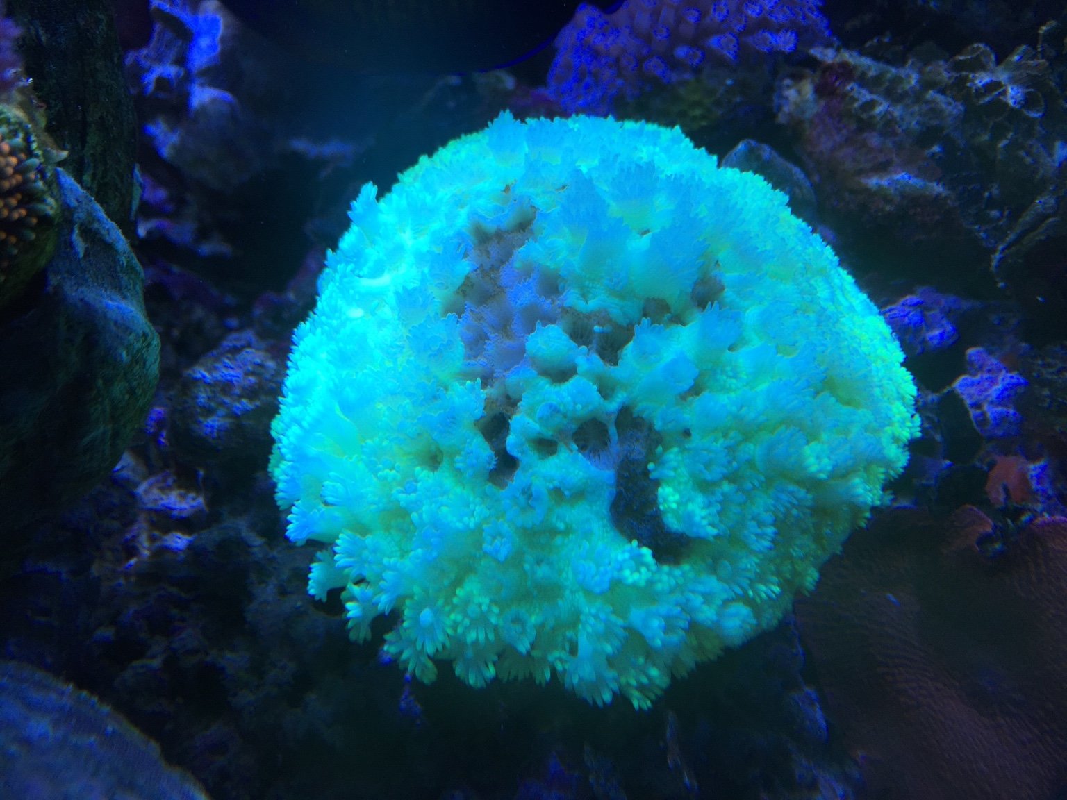 2e190af9de7048991eb339ec570c0dc3.jpg