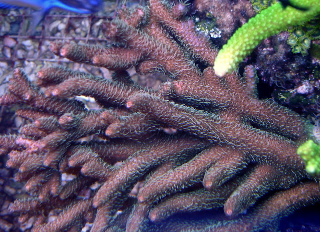 DSC02613.JPG