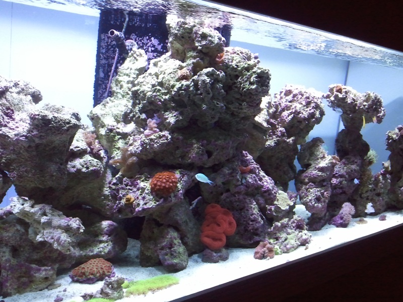 2011-02-20%2020.52.17.jpg