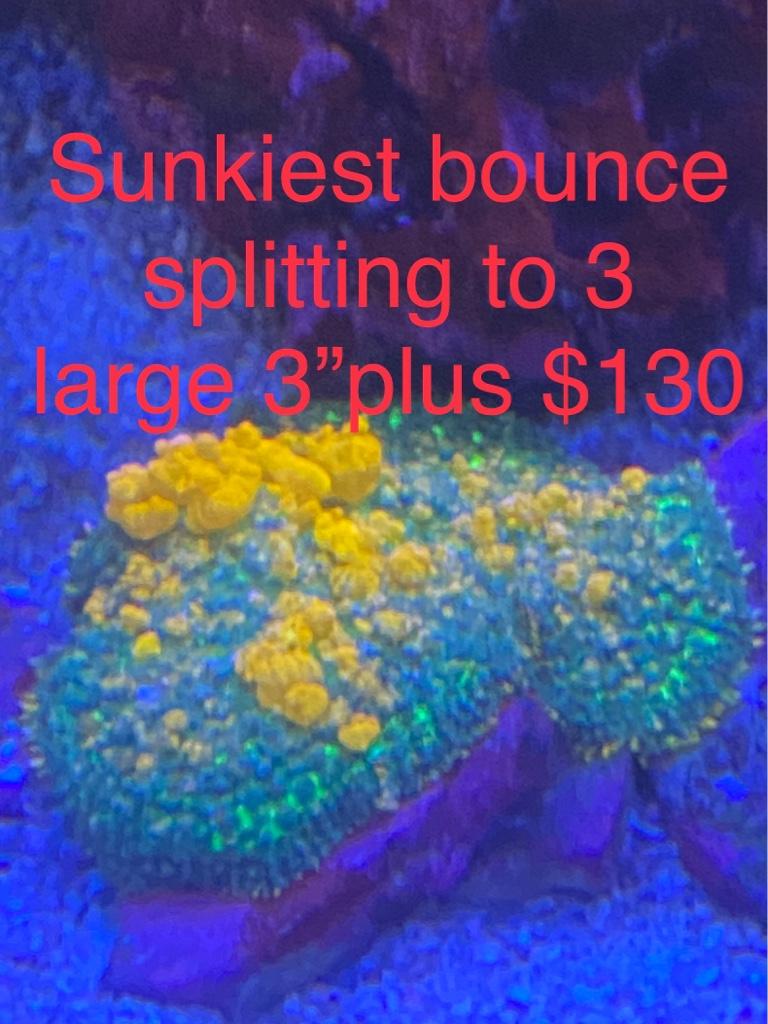 8c0836727f63f5d1fa77ec5e4c5b94e7.jpg