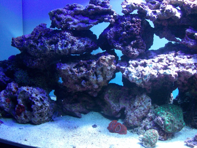 100_9613.jpg