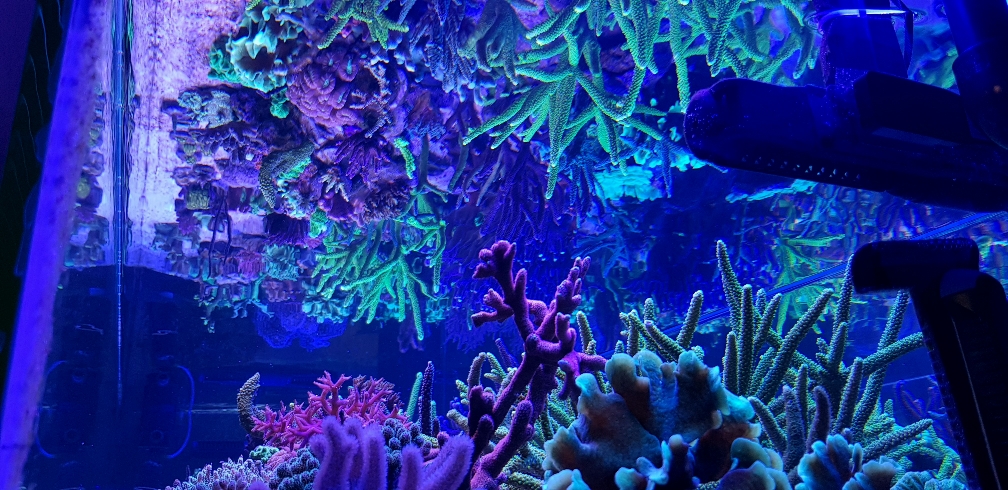 ec72a1ae2fb7943040c06c254340d9b5.jpg