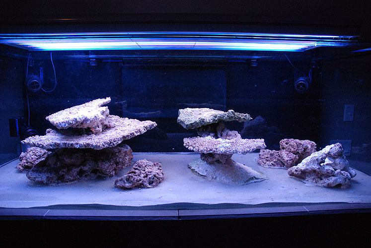 aquascape1.jpg