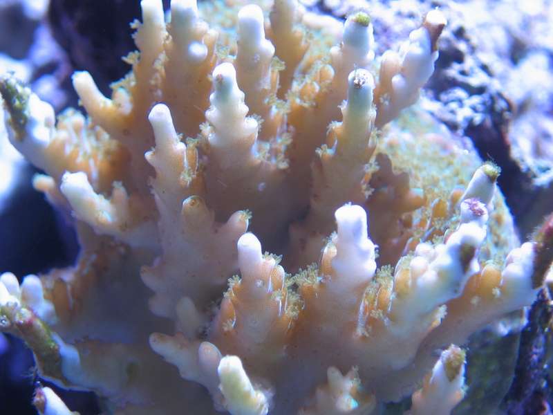 img0850cx8.jpg