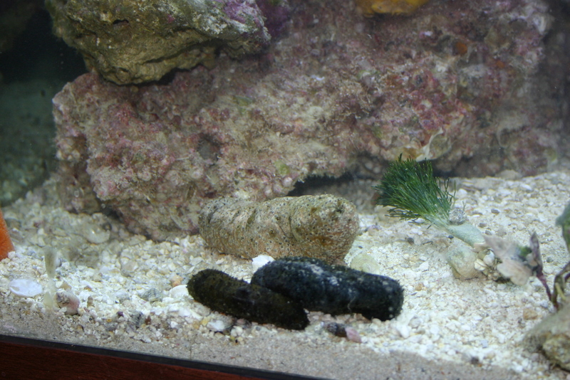 img_8068.jpg