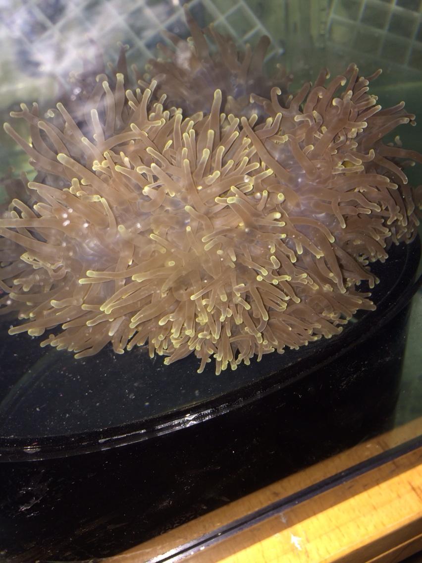 Byq4A1DIAAABUnR.jpg:large