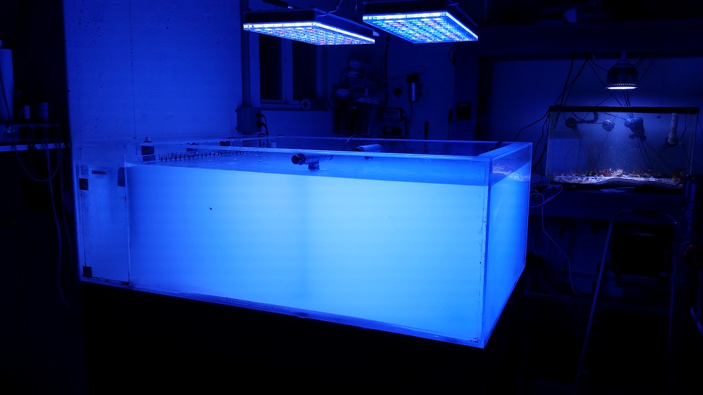 20150216_184945-XL.jpg