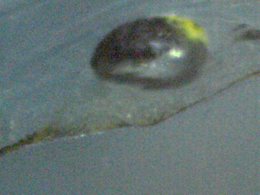 GBG_156_5.jpg