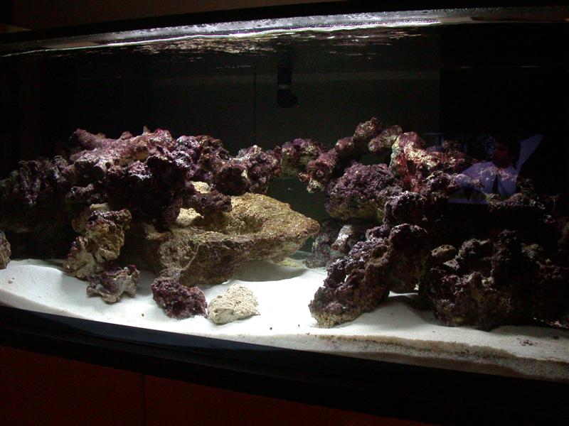 DSCN2326.JPG