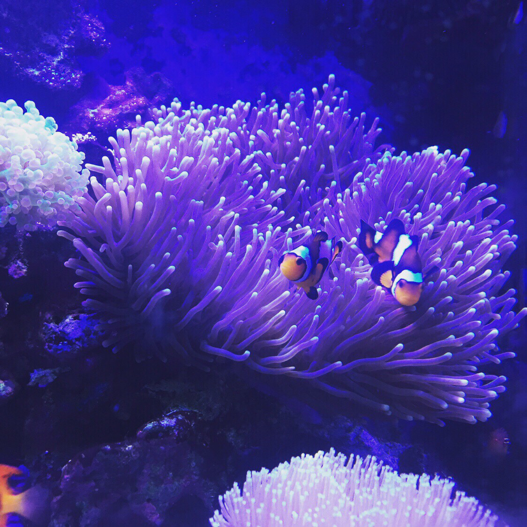 7d65f196462023e40d0cb2d62a4f8c8e.jpg