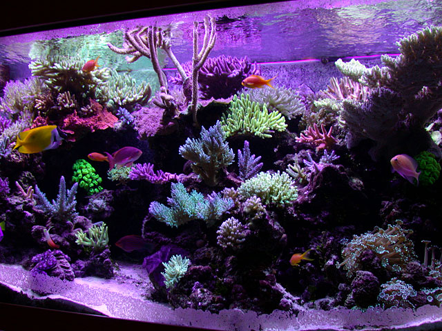 DSCN0343.jpg