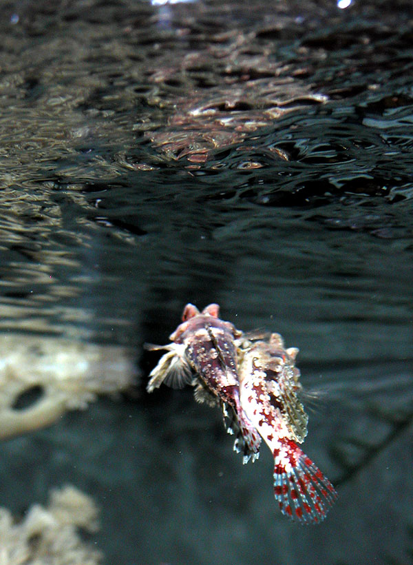 DSCN7903.jpg
