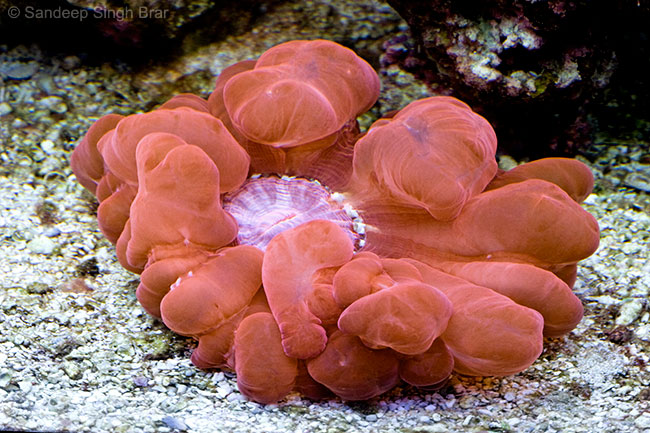 NanoJun14_08a.jpg