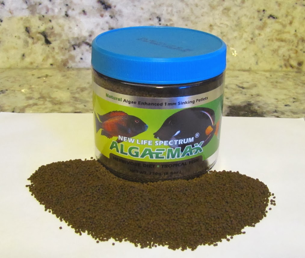 algaemax02.jpg