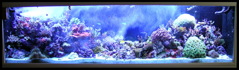 453_dual_locline.jpg