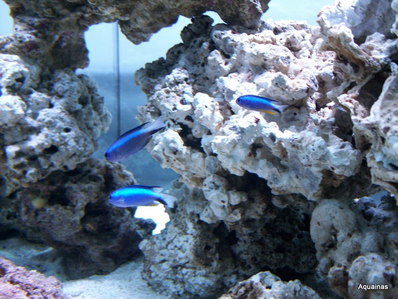 100_6890.jpg