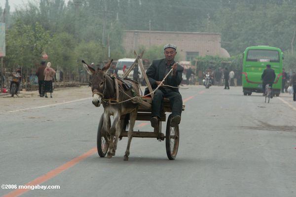 china_102-6348.JPG