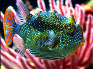 239cb7c2503953320fd75d83e0614d88.jpg