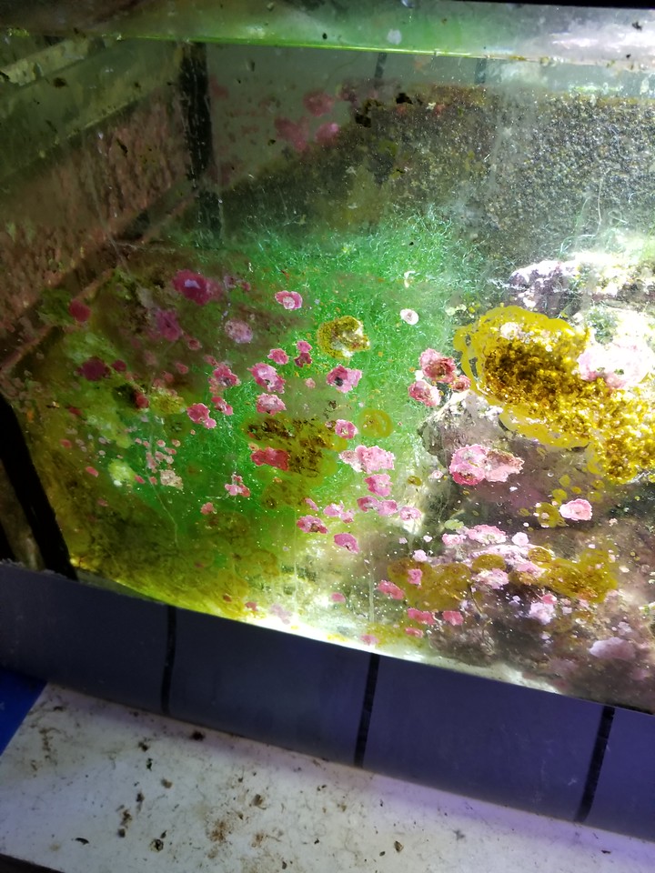 20170427_215906-X2.jpg