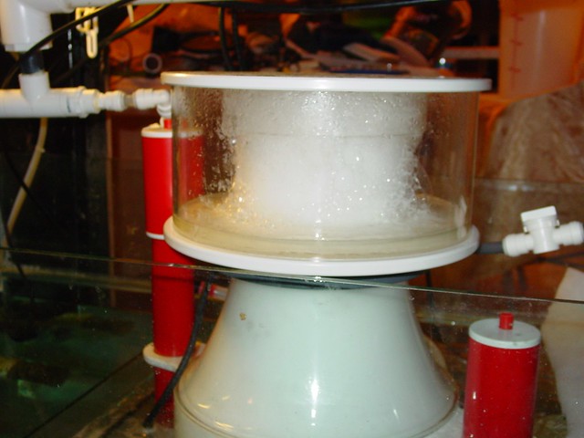 23594187832_2246e62999_z.jpg