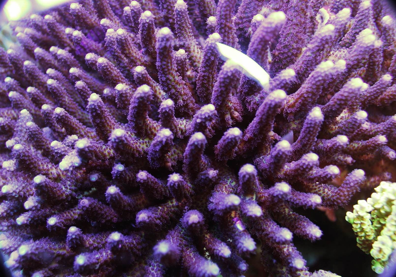 14a77ee654729548654b8d54ca4d9012.jpg