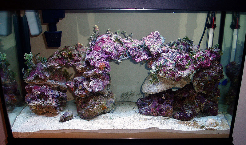tank_01-29-05.jpg